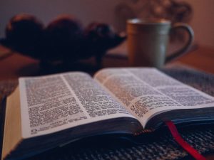Why Christians don't read the bible